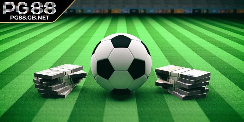 Hiểu rõ các loại hình