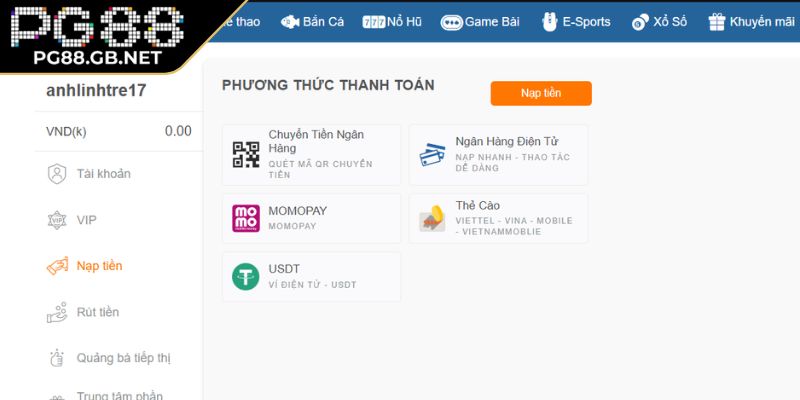 Hướng dẫn chi tiết cách nạp tiền PG88 cho người mới bắt đầu
